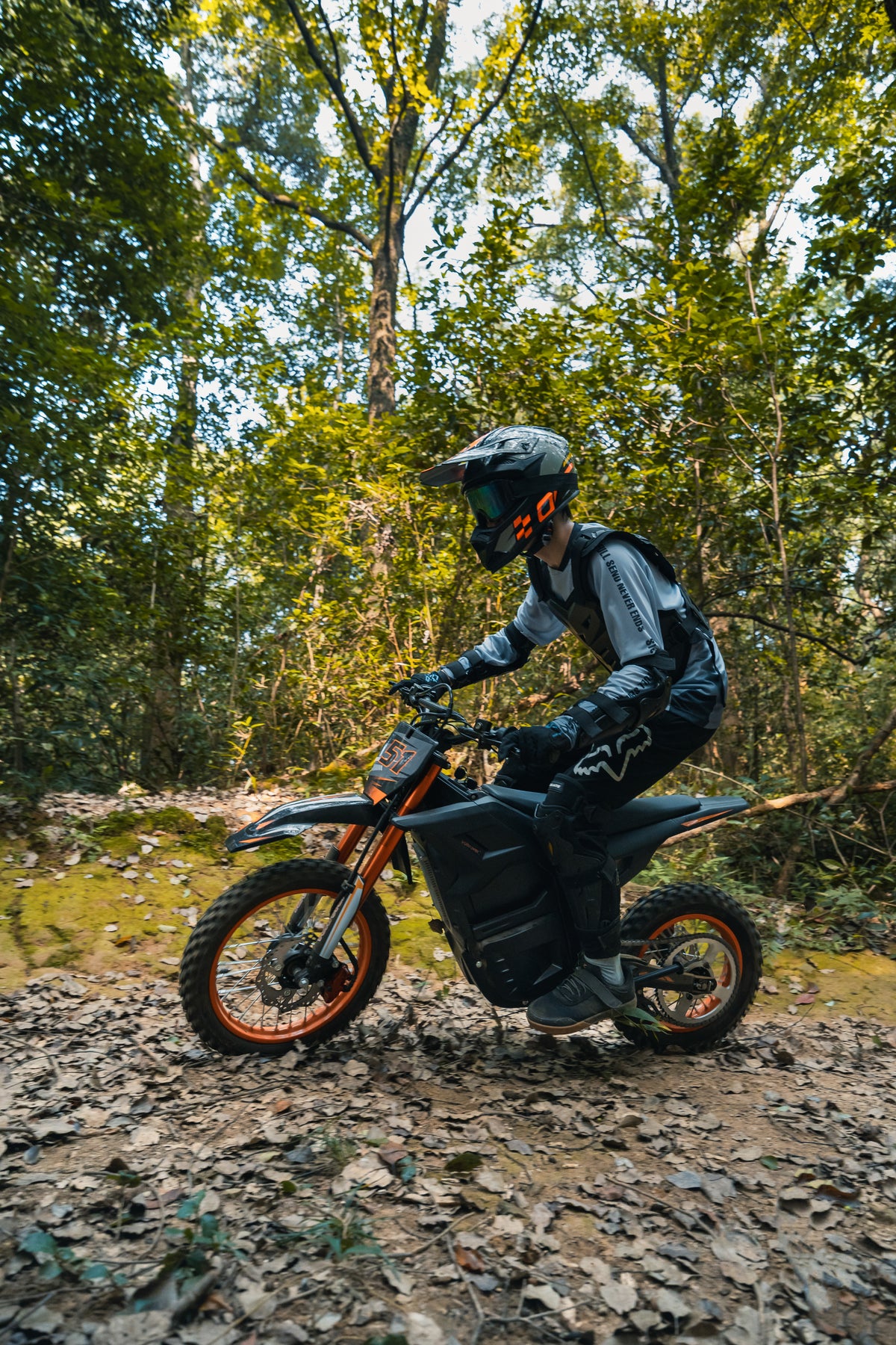 VankeHui，Factory electric vehicles, global supply，two-wheel electric motorcycles, 48V 3000W 20.8AH，Electric mobility scooter, unisex electric vehicle, long range, front and rear oil disc brakes